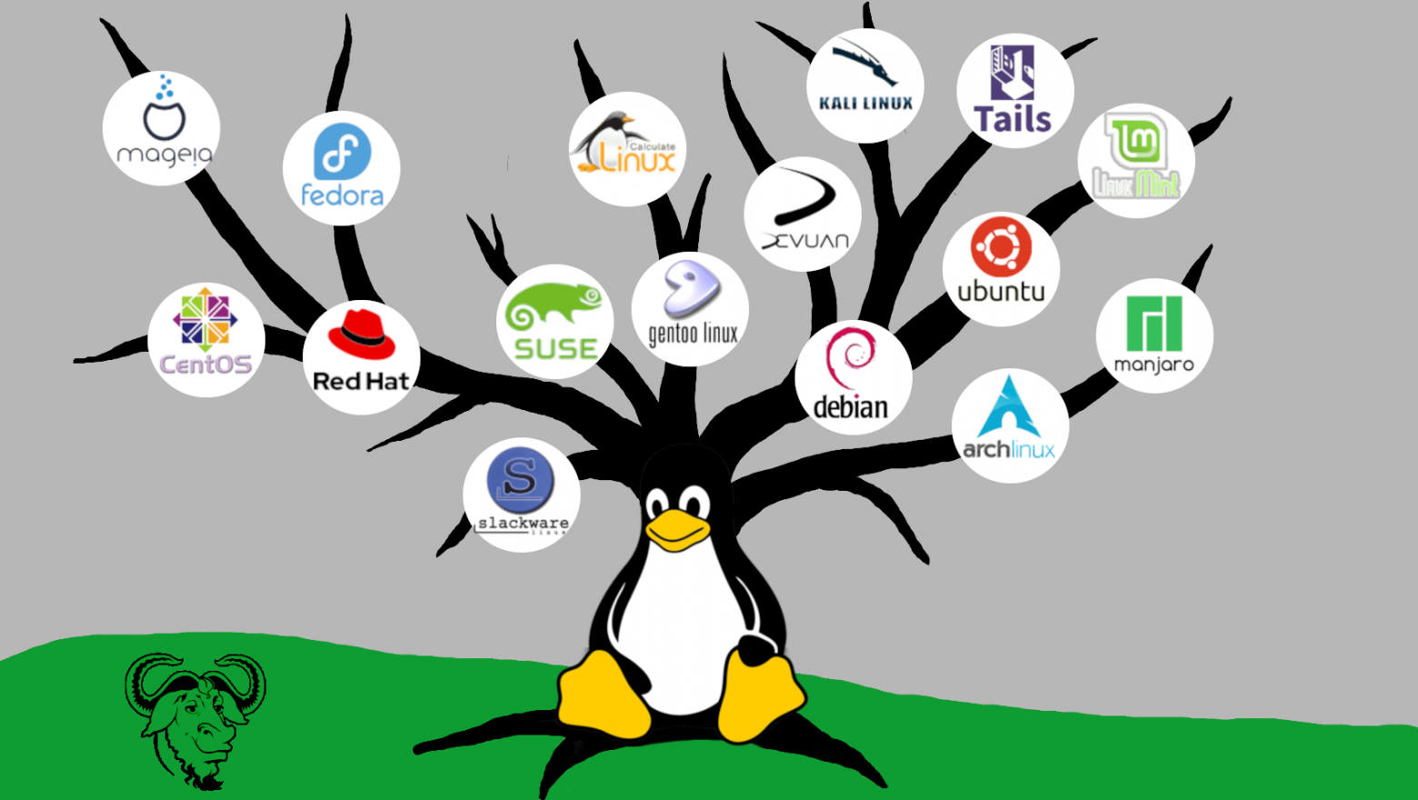 linux-tree